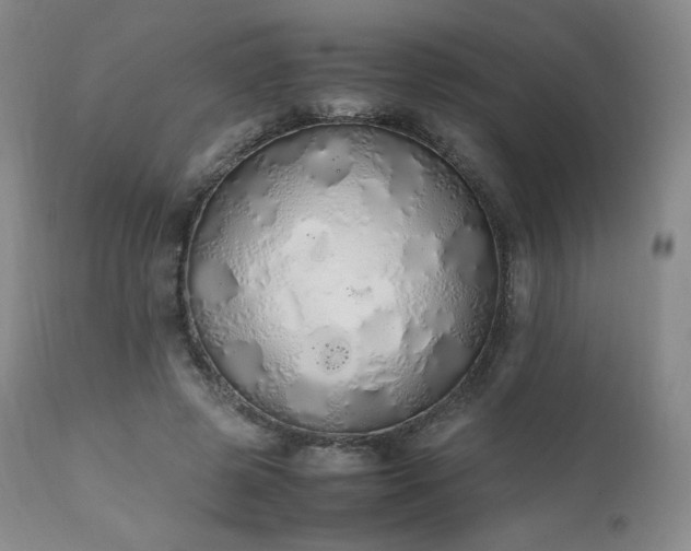 X0000111450545200907131331