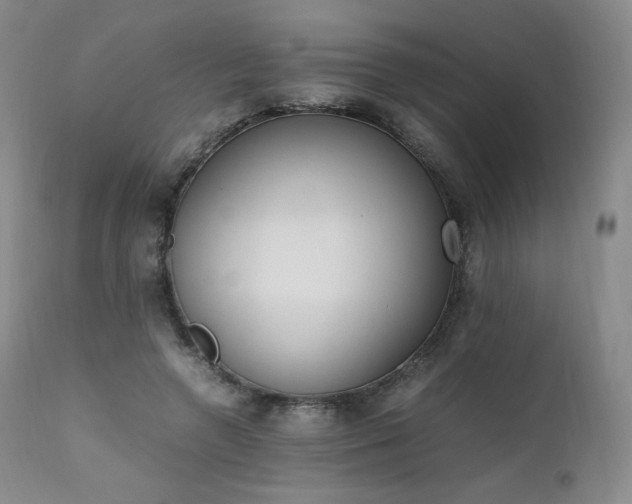 X0000111450546200907131331