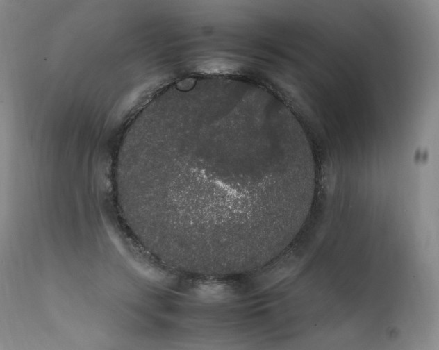 X0000111450547200907131331