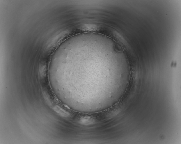 X0000111450549200907131331