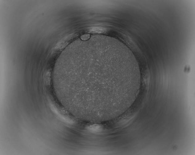 X0000111450551200907131331