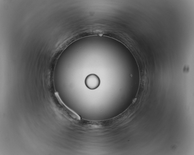 X0000111450552200907131331