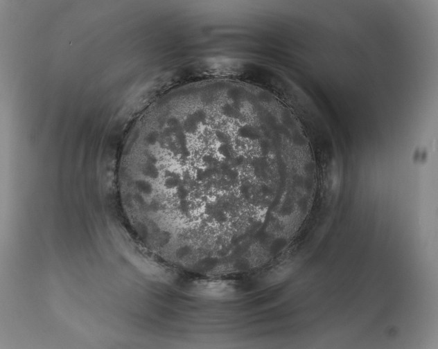 X0000111450553200907131331