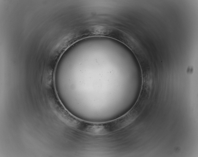 X0000111450554200907131331