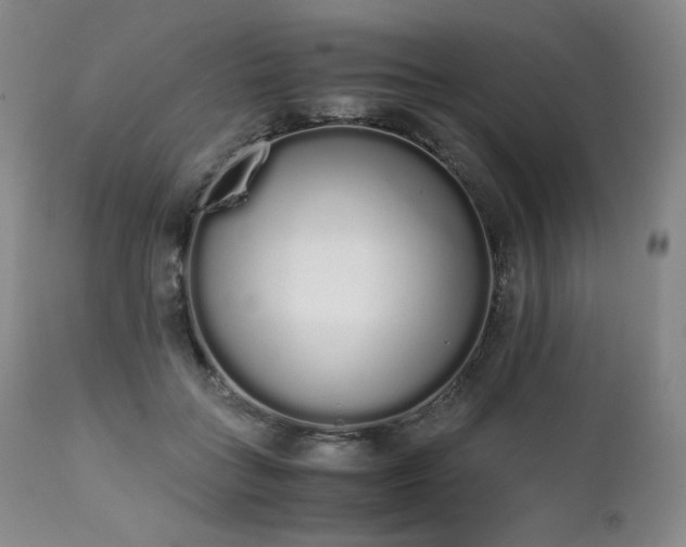 X0000111450555200907131331