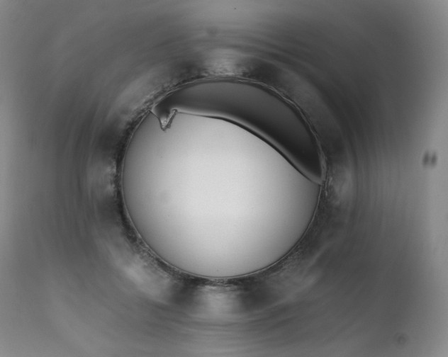 X0000111450556200907131331