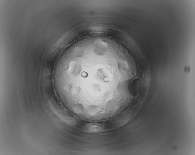 X0000111450557200907131331