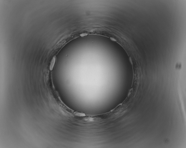 X0000111450558200907131331