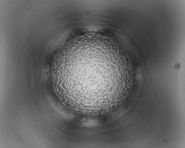 X0000111450559200907131331