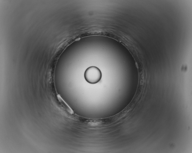 X0000111450560200907131331