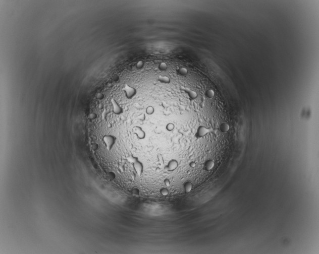 X0000111450561200907131331