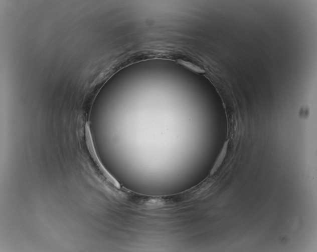 X0000111450562200907131331