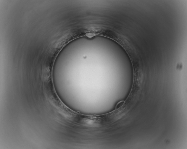 X0000111450563200907131331