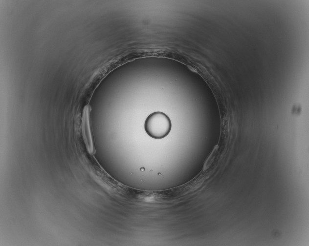 X0000111450564200907131331