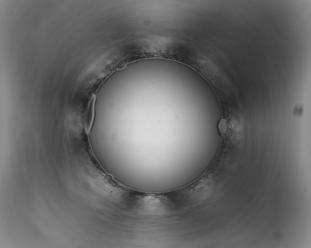X0000111450566200907131331