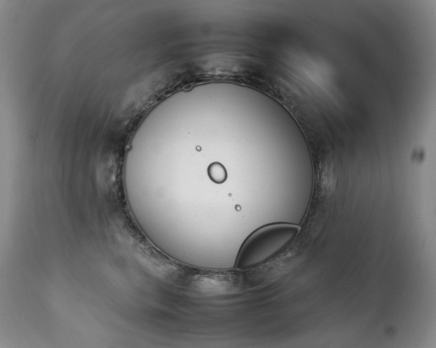 X0000111450567200907131331