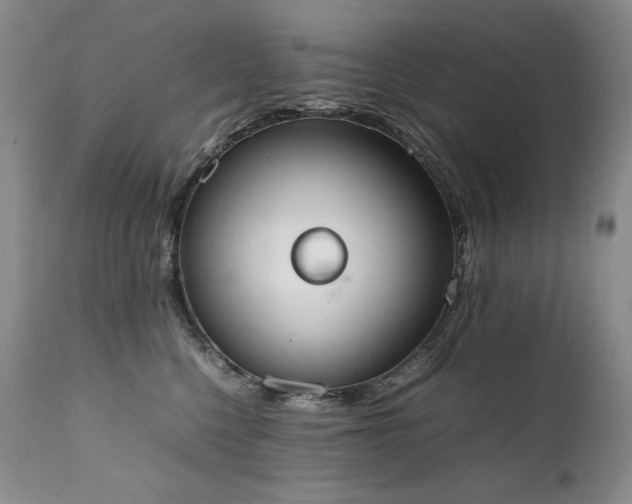 X0000111450568200907131331