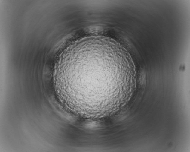 X0000111450569200907131331
