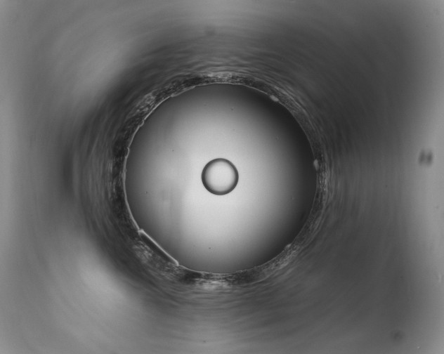 X0000111450572200907131331