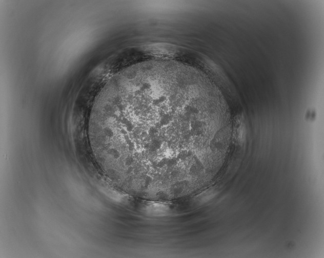 X0000111450573200907131331
