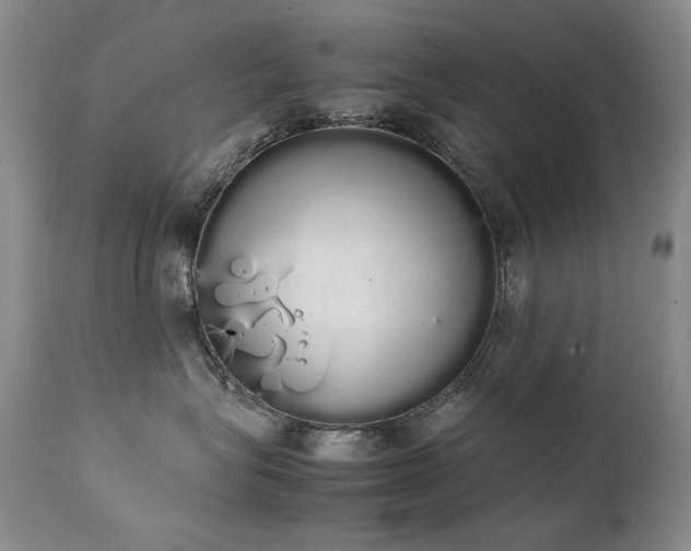 X0000111450575200907131331