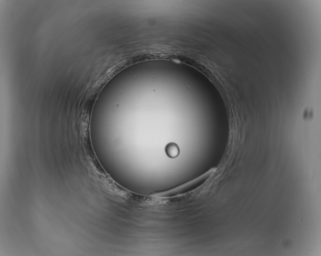 X0000111450576200907131331