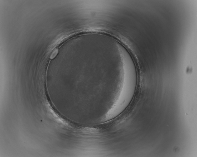 X0000111450577200907131331