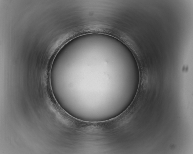 X0000111450578200907131331
