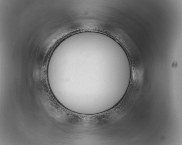 X0000111450579200907131331