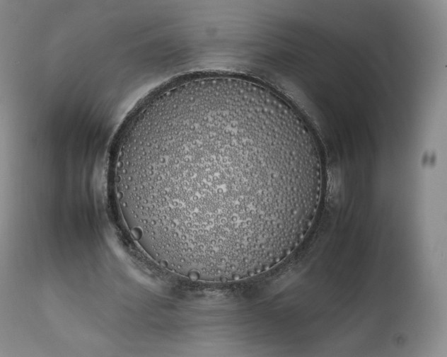 X0000111450580200907131331