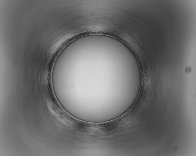 X0000111450583200907131331