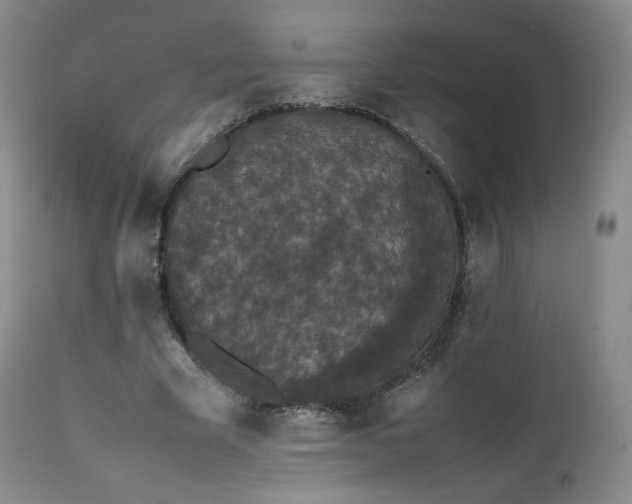 X0000111450585200907131330