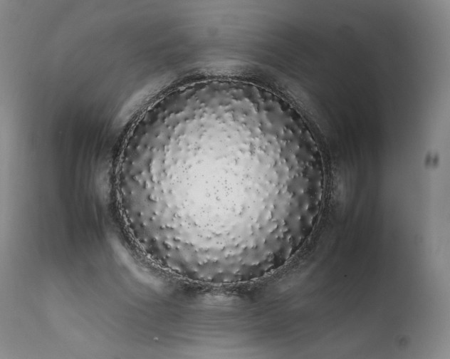 X0000111450586200907131330