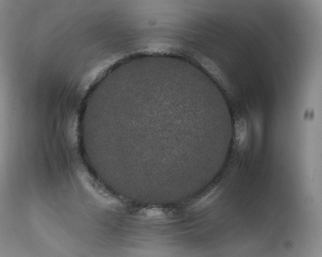 X0000111450588200907131330