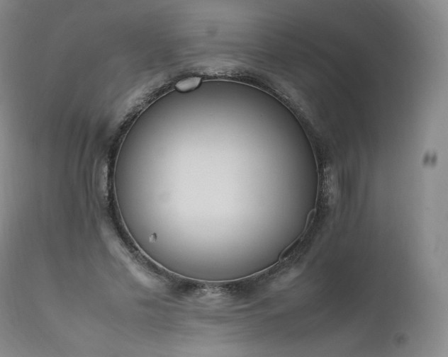 X0000111450589200907131330