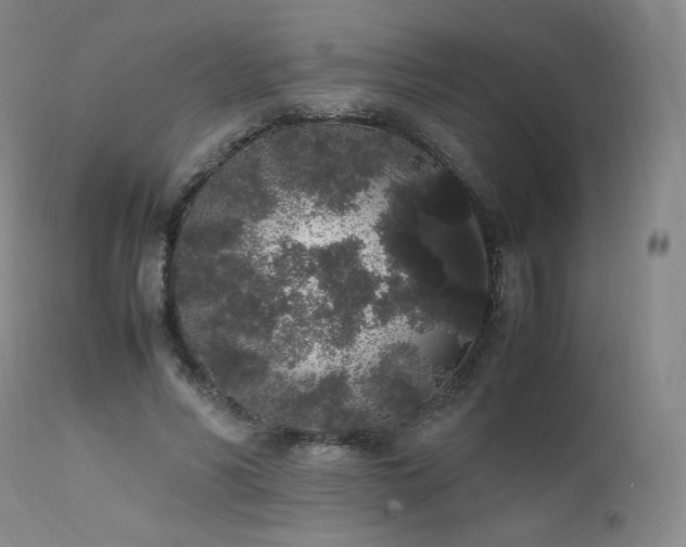 X0000111450590200907131330