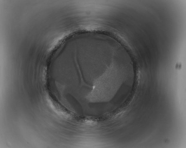 X0000111450592200907131330