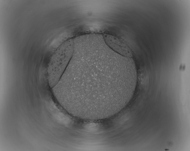 X0000111450593200907131330