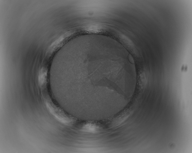 X0000111450596200907131330