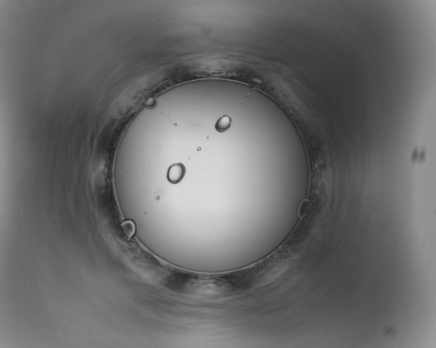 X0000111450597200907131330