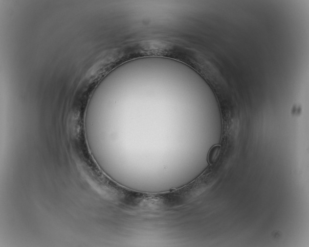 X0000111450599200907131330