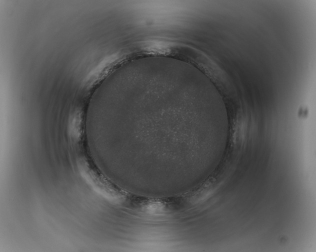 X0000111450600200907131330