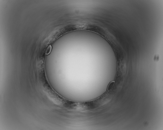 X0000111450601200907131330