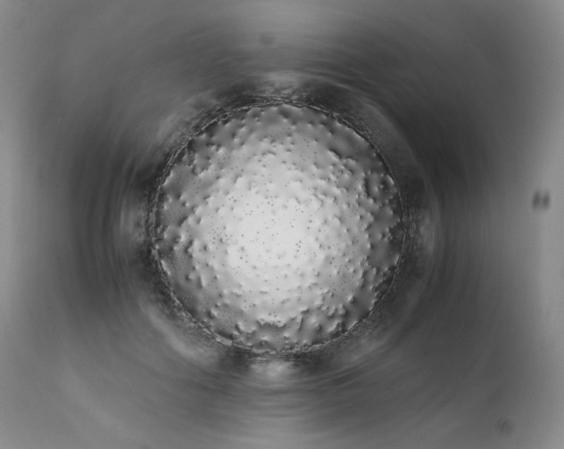 X0000111450602200907131330