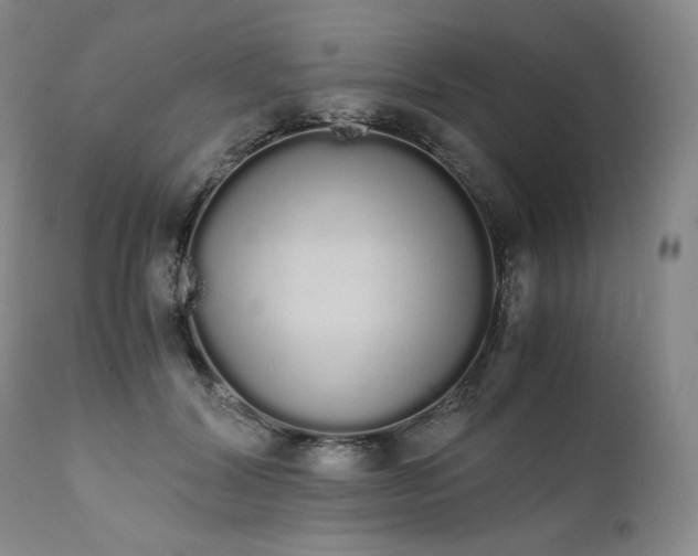 X0000111450604200907131330