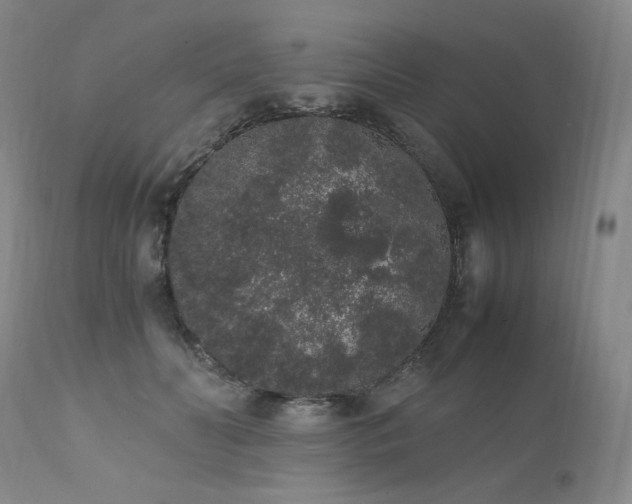 X0000111450606200907131330