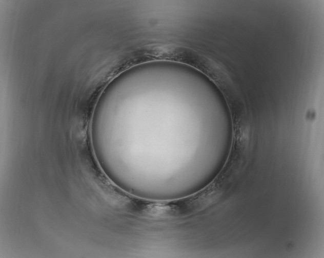 X0000111450607200907131330