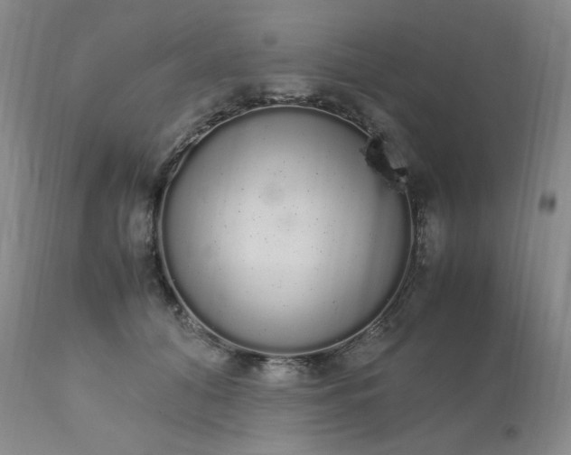 X0000111450608200907131330