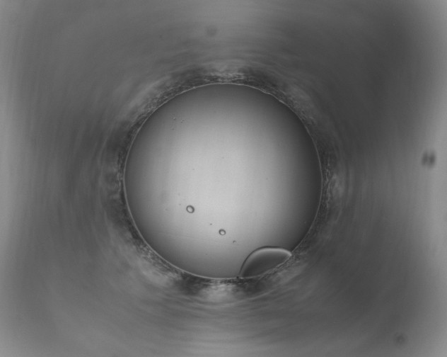 X0000111450609200907131330
