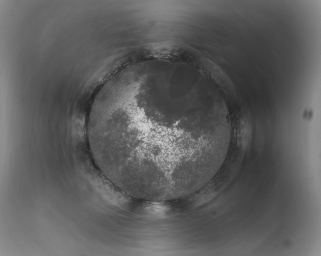 X0000111450610200907131330